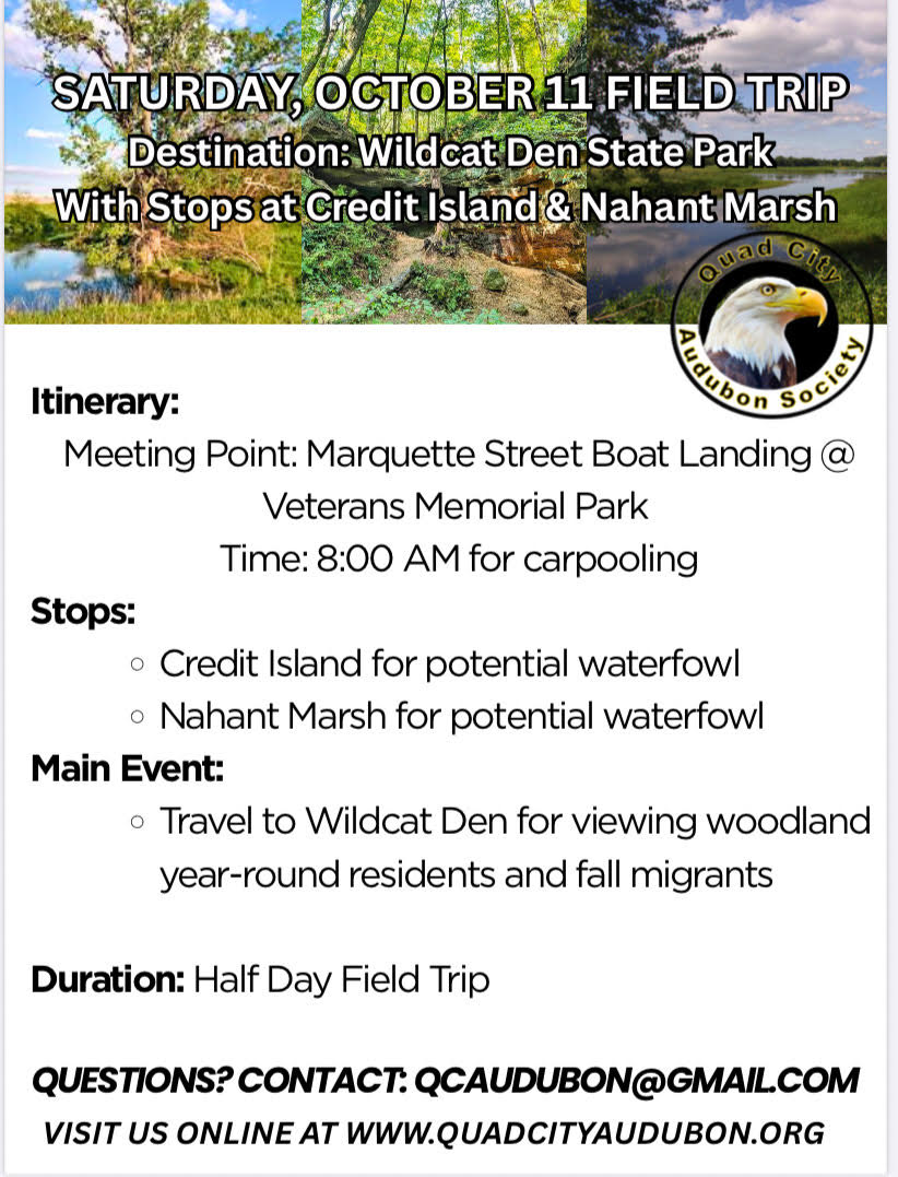 Event info